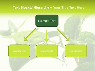 Climate Technology Condition PowerPoint Template