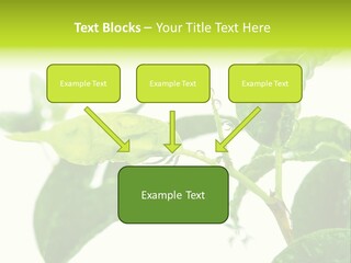 Climate Technology Condition PowerPoint Template