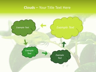 Climate Technology Condition PowerPoint Template