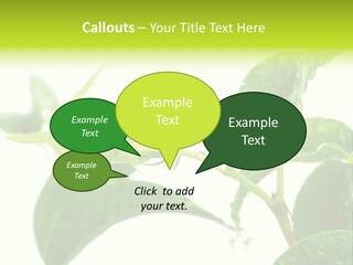 Climate Technology Condition PowerPoint Template