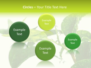 Climate Technology Condition PowerPoint Template