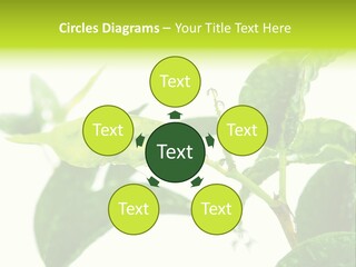 Climate Technology Condition PowerPoint Template
