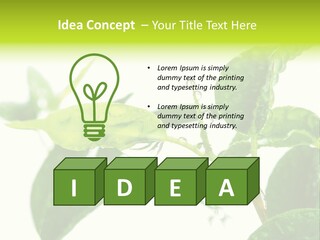 Climate Technology Condition PowerPoint Template