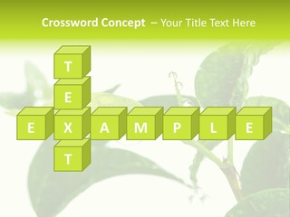 Climate Technology Condition PowerPoint Template