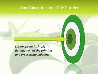 Climate Technology Condition PowerPoint Template
