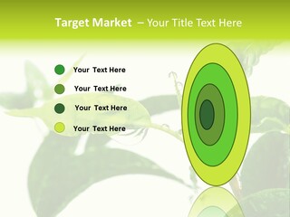 Climate Technology Condition PowerPoint Template