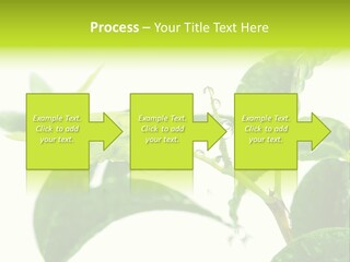 Climate Technology Condition PowerPoint Template