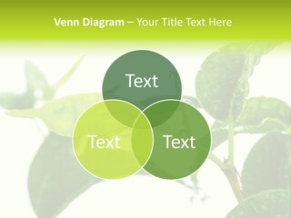 Climate Technology Condition PowerPoint Template