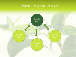 Climate Technology Condition PowerPoint Template