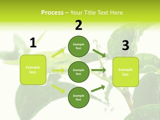 Climate Technology Condition PowerPoint Template