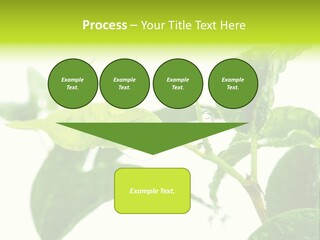 Climate Technology Condition PowerPoint Template