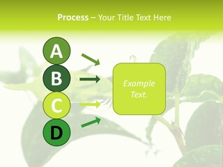 Climate Technology Condition PowerPoint Template