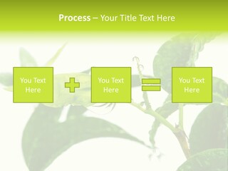 Climate Technology Condition PowerPoint Template