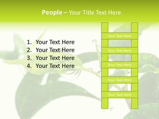 Climate Technology Condition PowerPoint Template