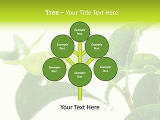 Climate Technology Condition PowerPoint Template