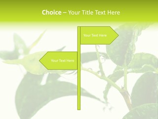 Climate Technology Condition PowerPoint Template