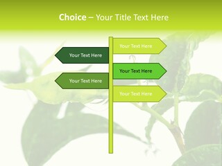 Climate Technology Condition PowerPoint Template