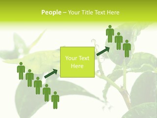 Climate Technology Condition PowerPoint Template