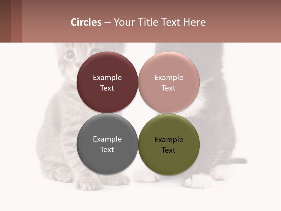 Air Home Cool PowerPoint Template