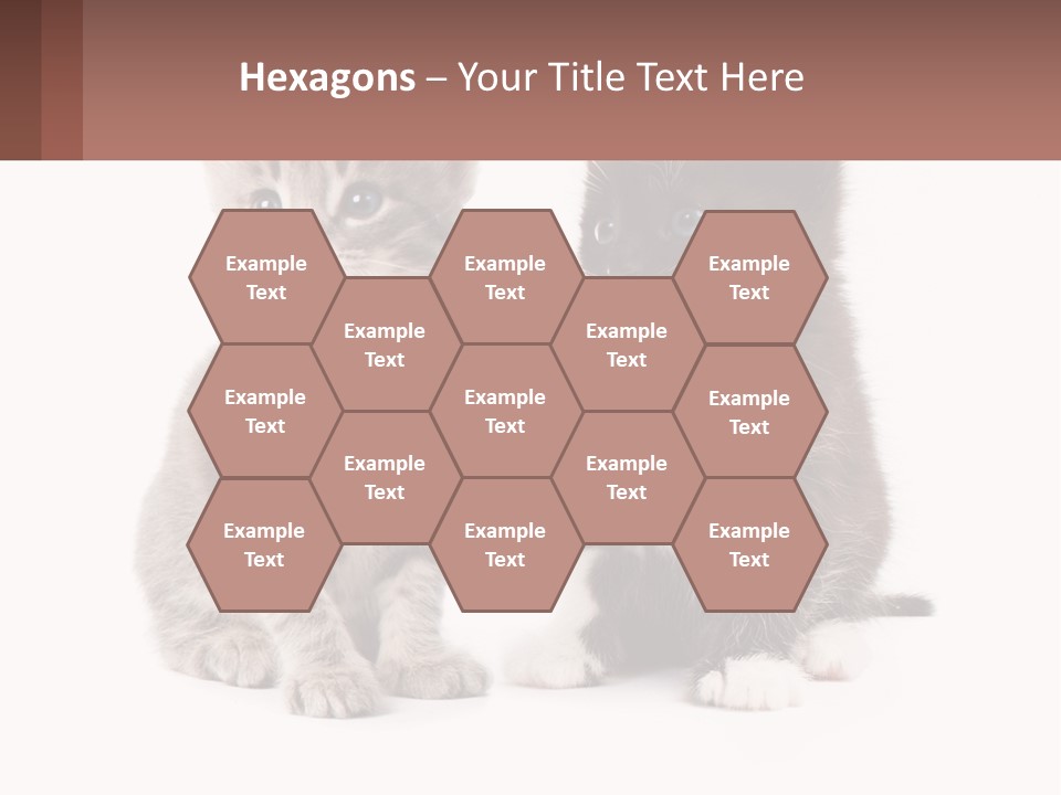 Air Home Cool PowerPoint Template