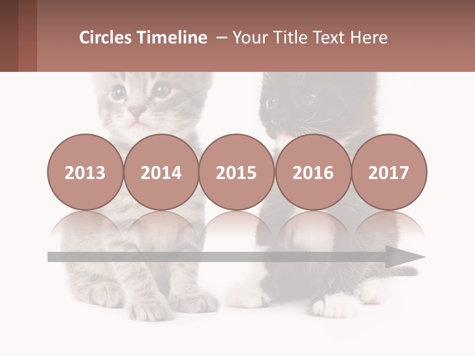 Air Home Cool PowerPoint Template