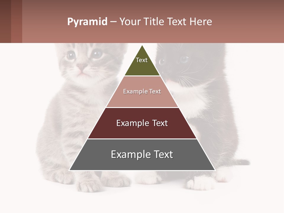 Air Home Cool PowerPoint Template