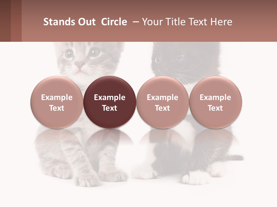 Air Home Cool PowerPoint Template