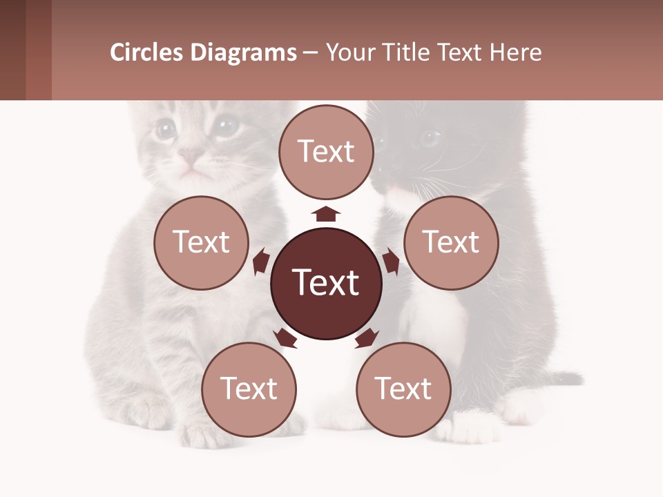 Air Home Cool PowerPoint Template