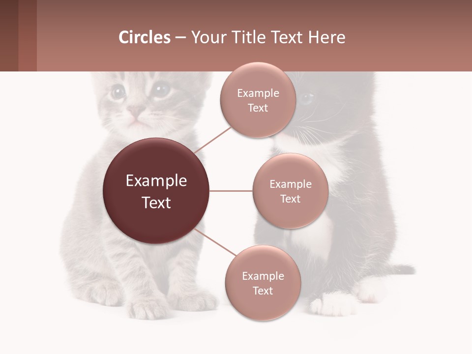 Air Home Cool PowerPoint Template