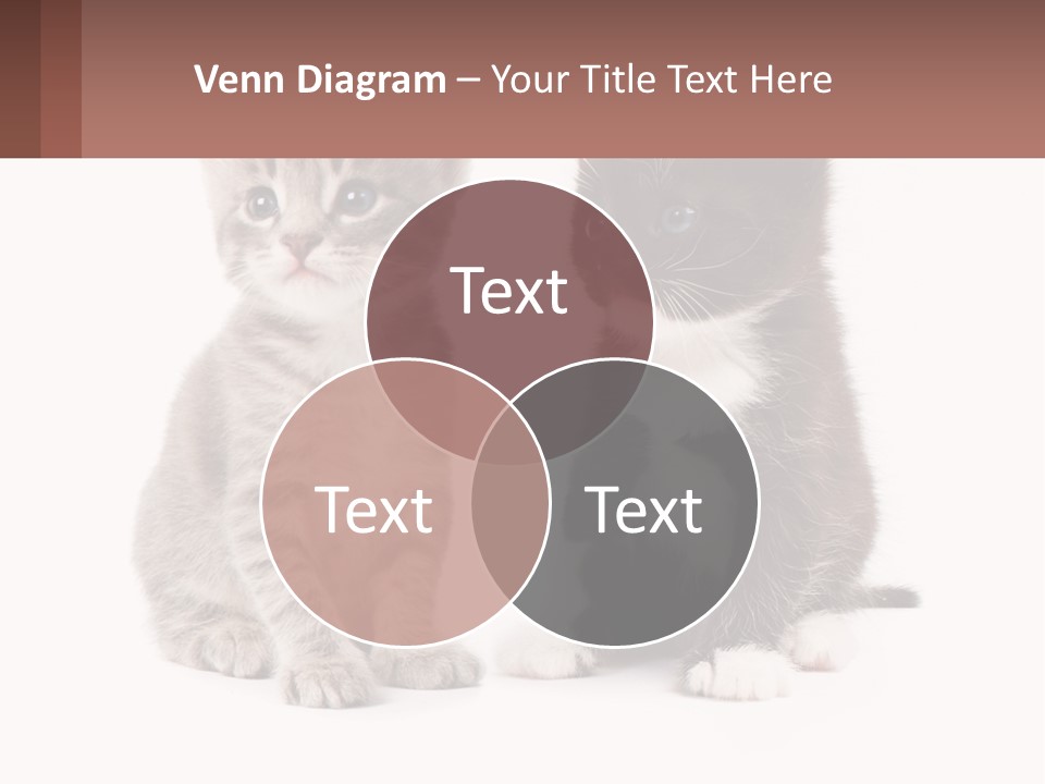 Air Home Cool PowerPoint Template