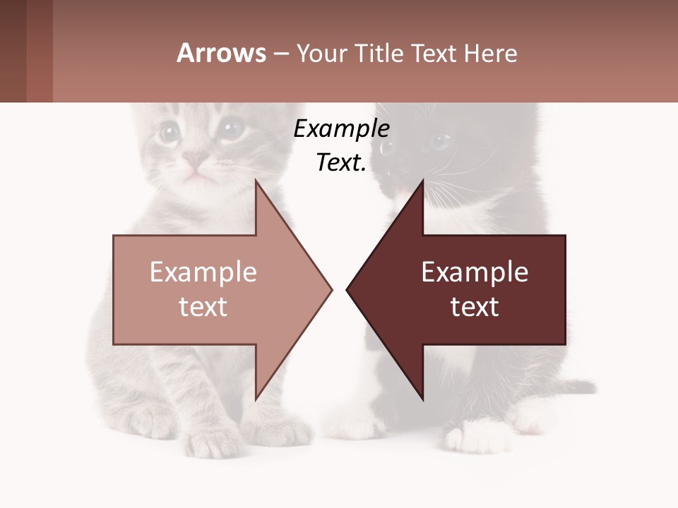 Air Home Cool PowerPoint Template