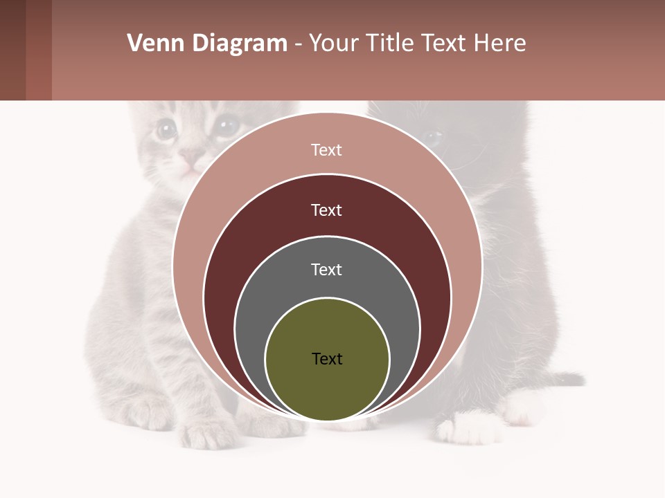 Air Home Cool PowerPoint Template