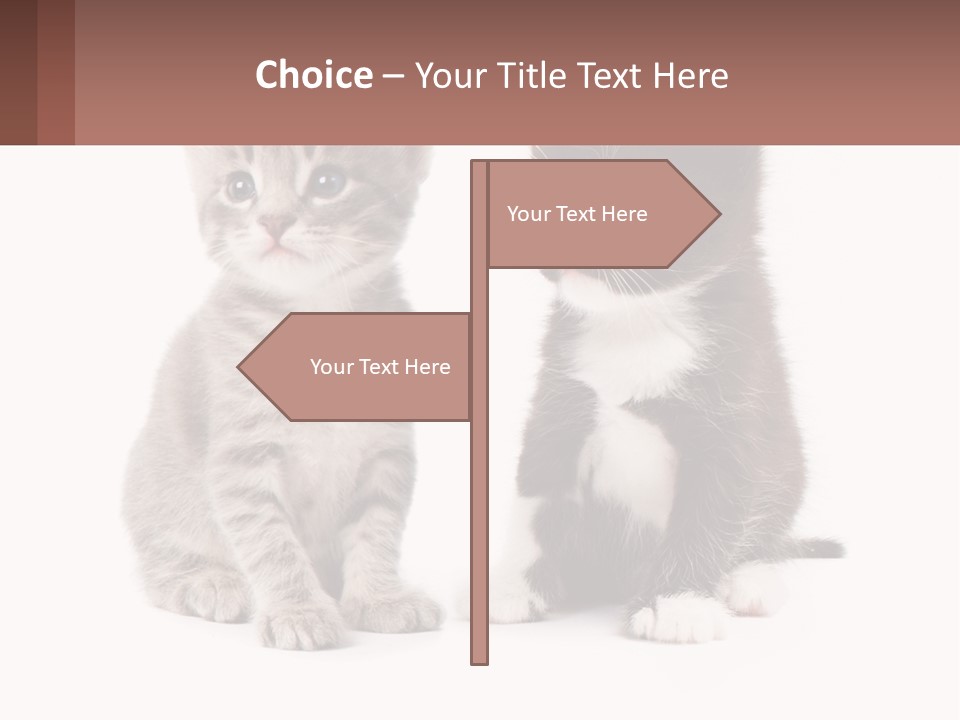 Air Home Cool PowerPoint Template
