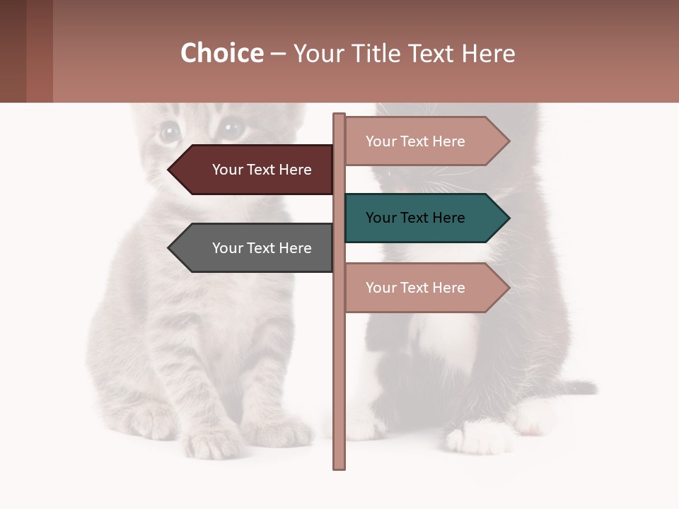 Air Home Cool PowerPoint Template