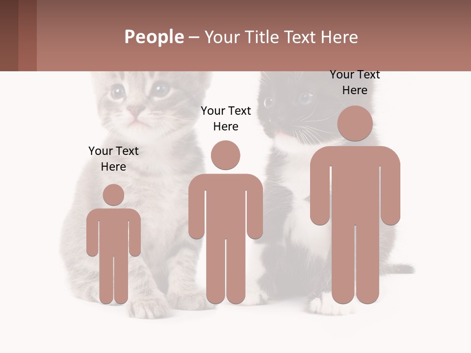 Air Home Cool PowerPoint Template