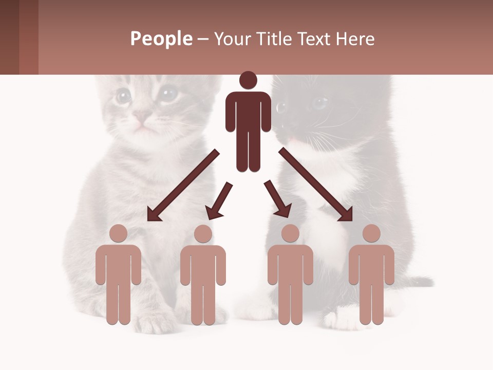 Air Home Cool PowerPoint Template