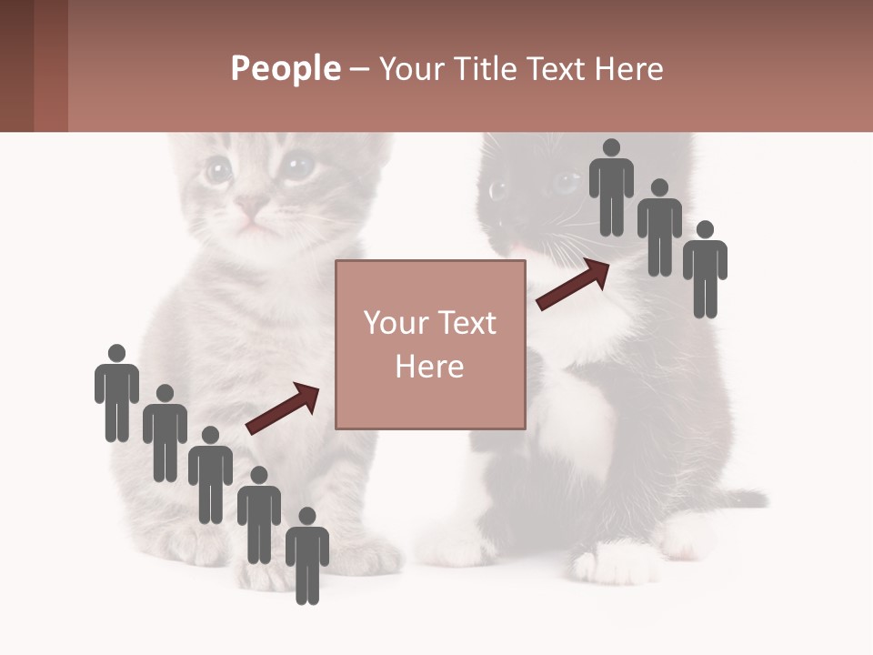 Air Home Cool PowerPoint Template