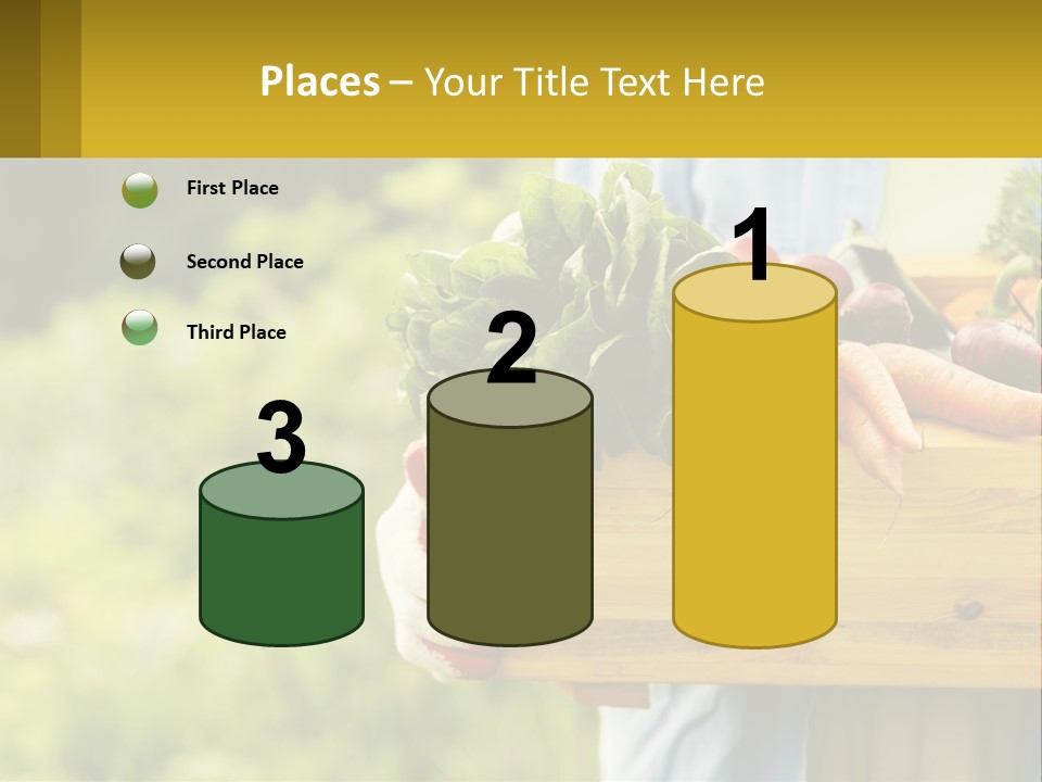 Home Conditioner Heat PowerPoint Template