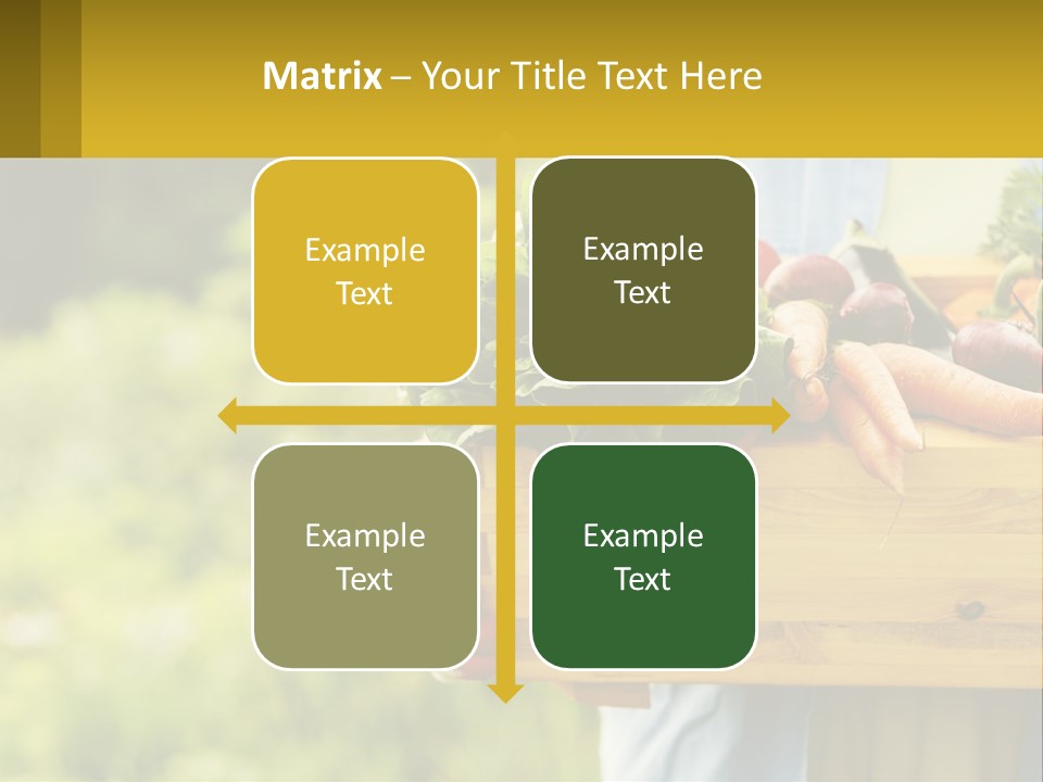 Home Conditioner Heat PowerPoint Template