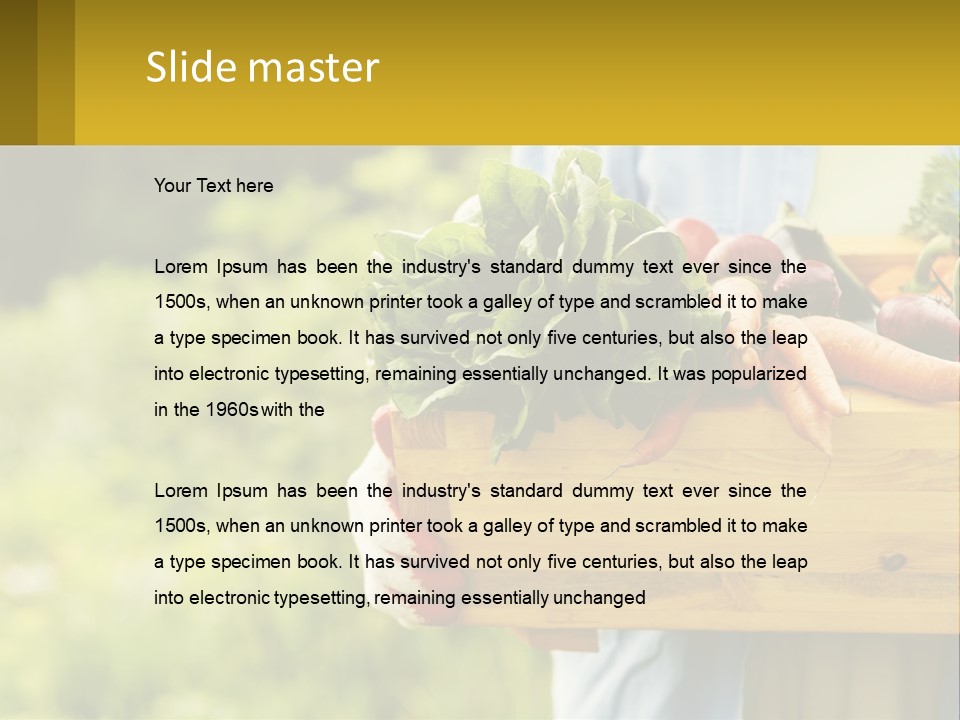 Home Conditioner Heat PowerPoint Template