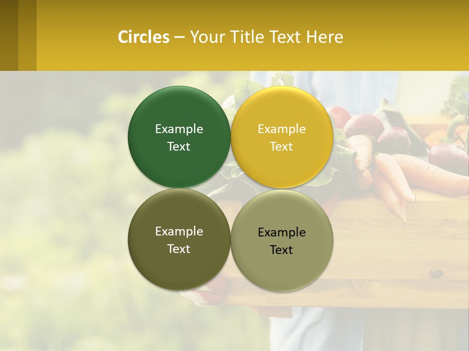 Home Conditioner Heat PowerPoint Template