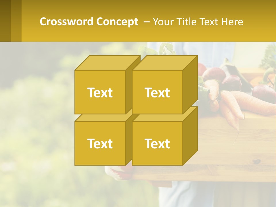 Home Conditioner Heat PowerPoint Template