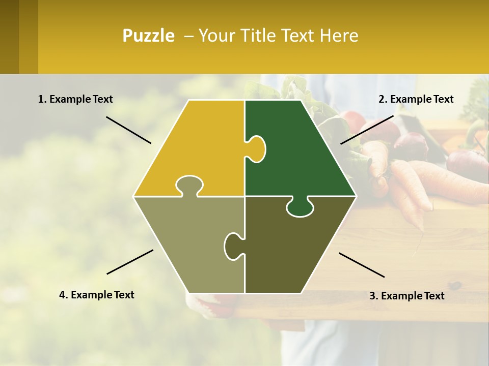 Home Conditioner Heat PowerPoint Template