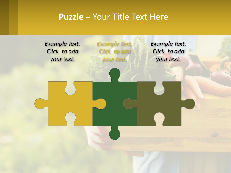 Home Conditioner Heat PowerPoint Template