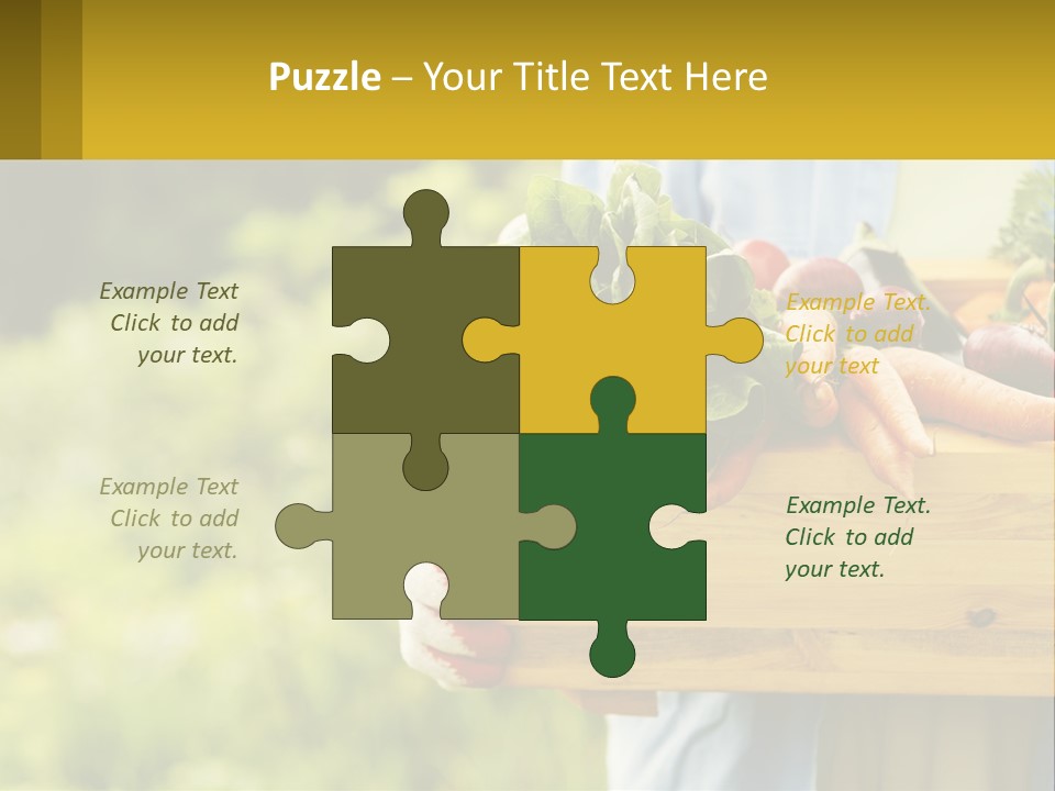 Home Conditioner Heat PowerPoint Template