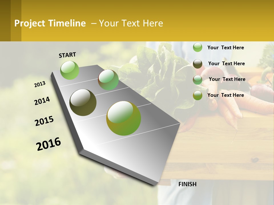 Home Conditioner Heat PowerPoint Template