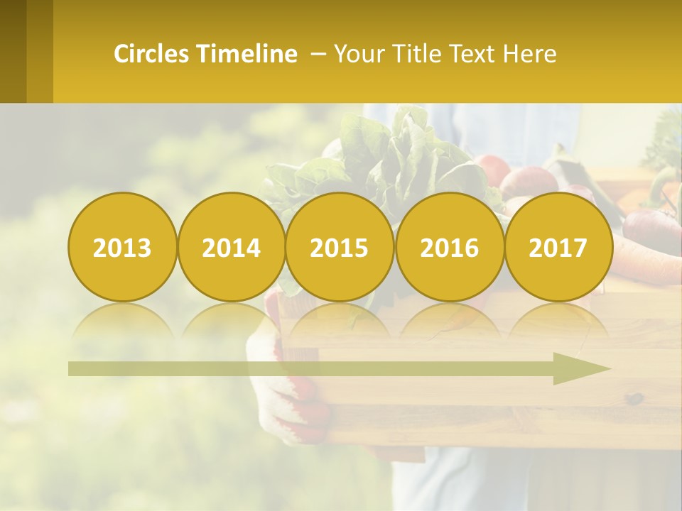 Home Conditioner Heat PowerPoint Template