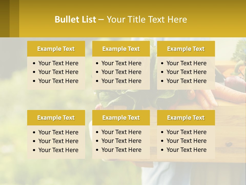 Home Conditioner Heat PowerPoint Template