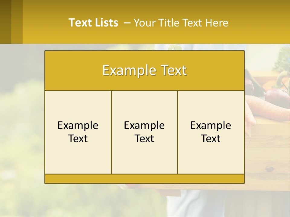 Home Conditioner Heat PowerPoint Template