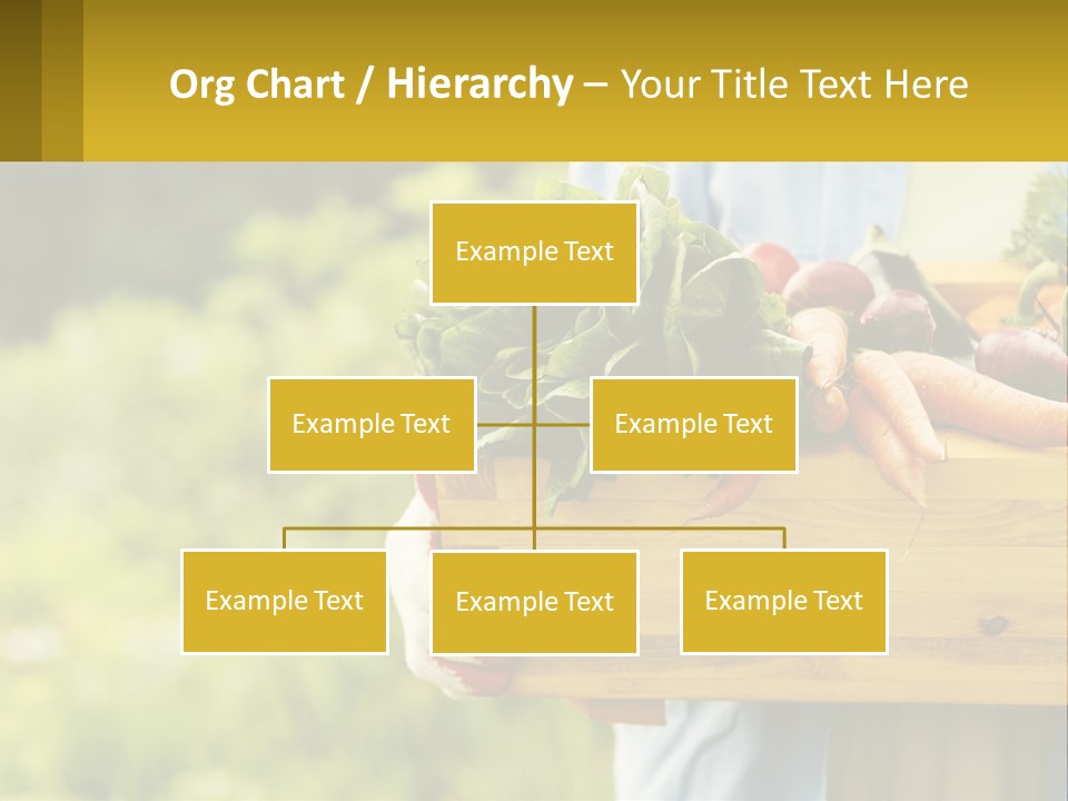 Home Conditioner Heat PowerPoint Template